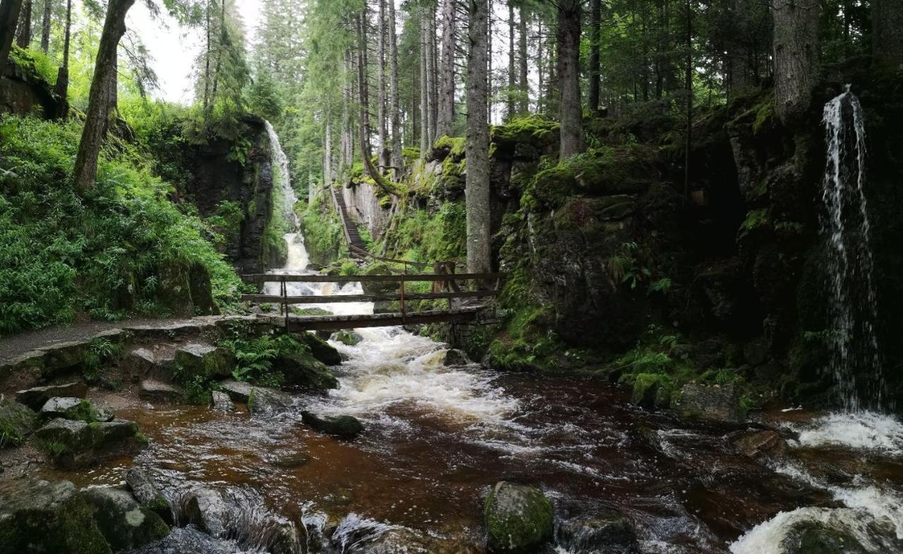 C2 Albmatte-Fewo , Hallenbad Aussenbecken Massagen Nebenan Санкт Блазиен Екстериор снимка
