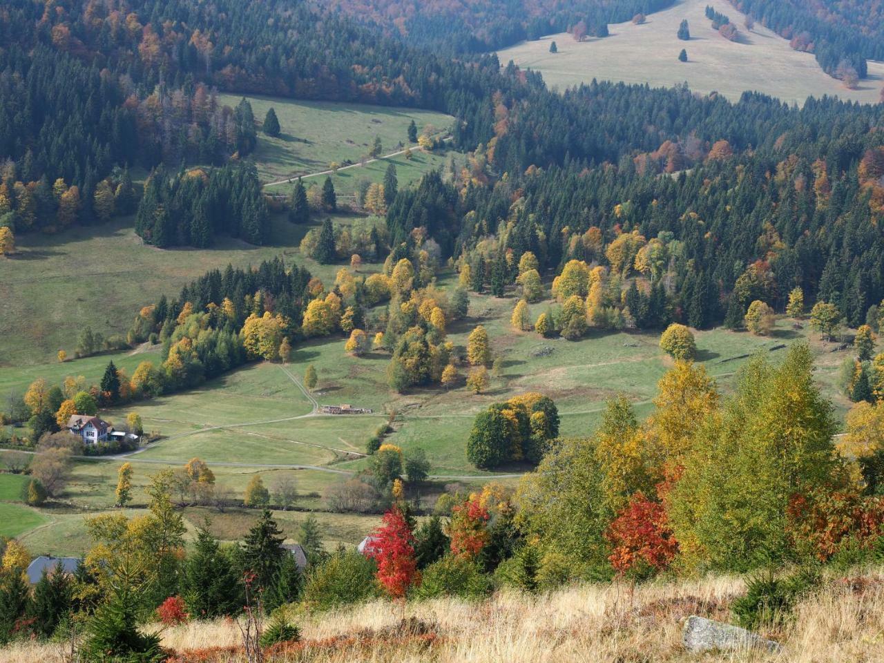C2 Albmatte-Fewo , Hallenbad Aussenbecken Massagen Nebenan Санкт Блазиен Екстериор снимка