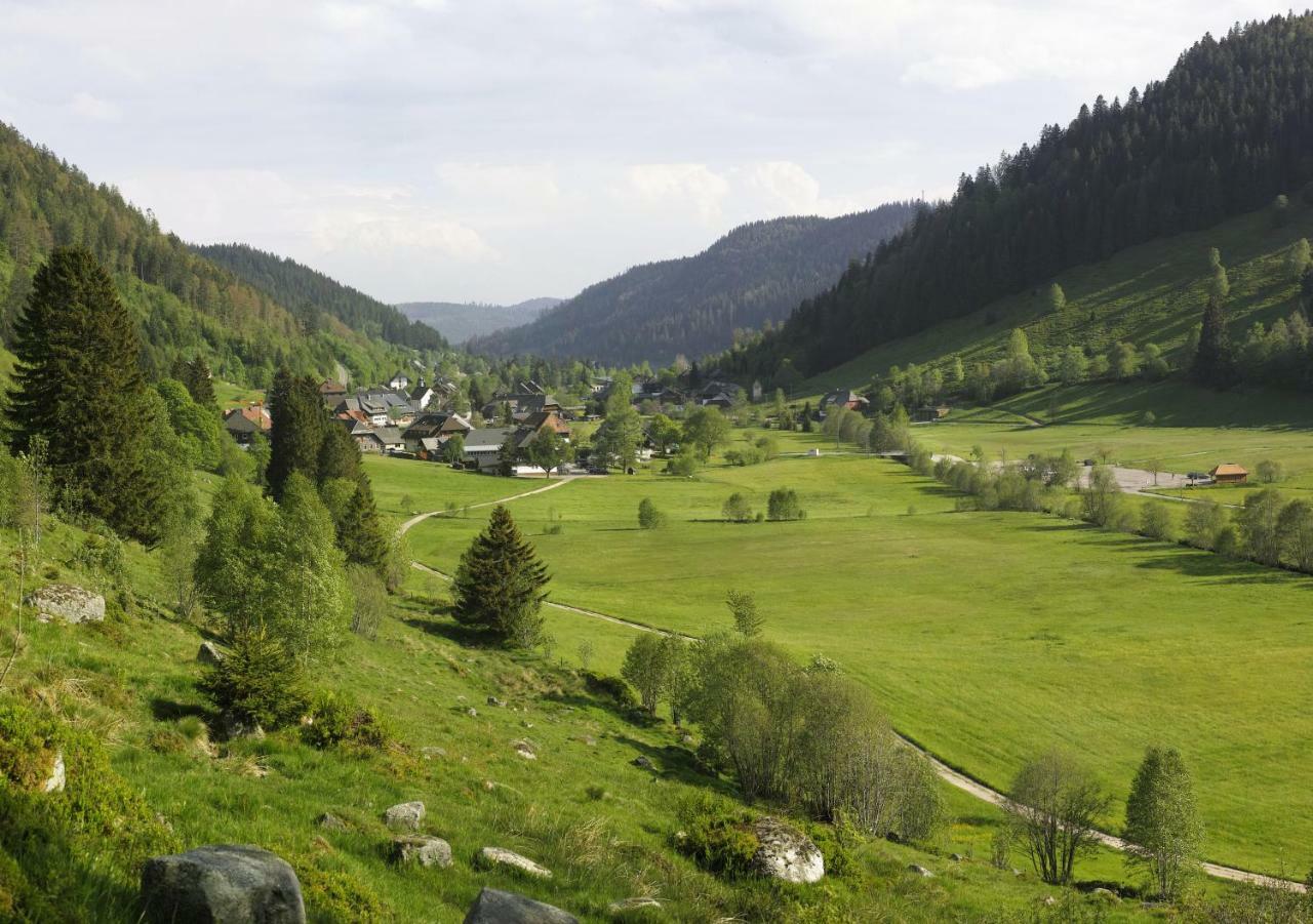 C2 Albmatte-Fewo , Hallenbad Aussenbecken Massagen Nebenan Санкт Блазиен Екстериор снимка