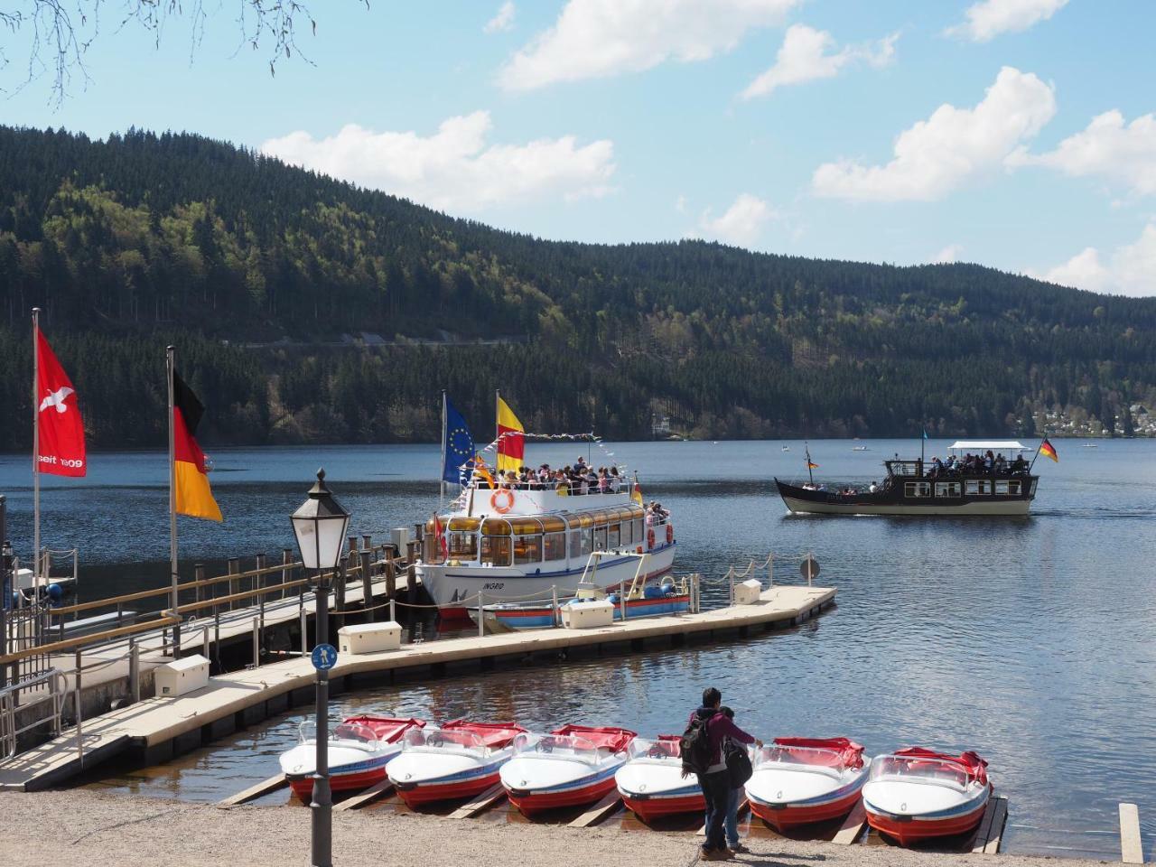C2 Albmatte-Fewo , Hallenbad Aussenbecken Massagen Nebenan Санкт Блазиен Екстериор снимка