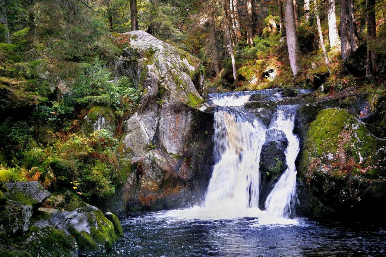 C2 Albmatte-Fewo , Hallenbad Aussenbecken Massagen Nebenan Санкт Блазиен Екстериор снимка